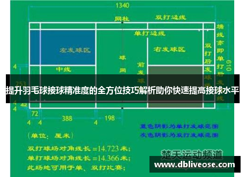 提升羽毛球接球精准度的全方位技巧解析助你快速提高接球水平